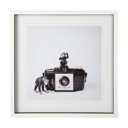 Monkeys Wall Art