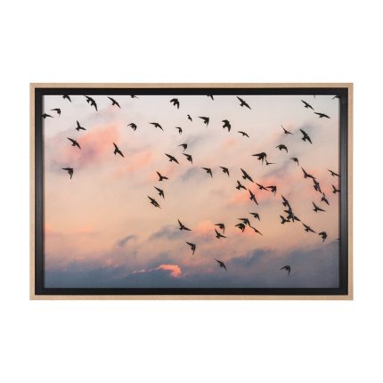 Evening Flight Wall Art